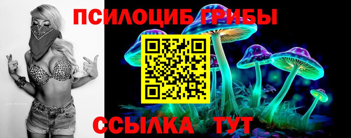 Галлюциногенные грибы Psilocybine cubensis  Вход с VPN  Михайловск  Псилоцибиновые грибы мицелий 