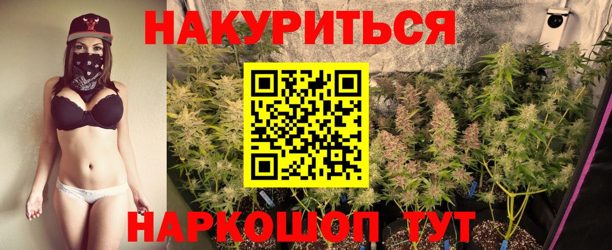 Шишки марихуана конопля Михайловск